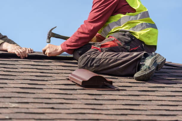 Trusted Courtland, VA Roofing Contractor Experts