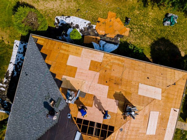 Best Roof Replacement Cost  in Courtland, VA