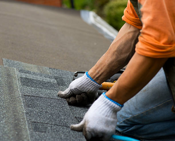 Best Storm Damage Roof Repair  in Courtland, VA