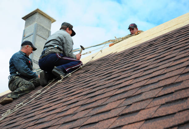 Best Roof Waterproofing Services  in Courtland, VA