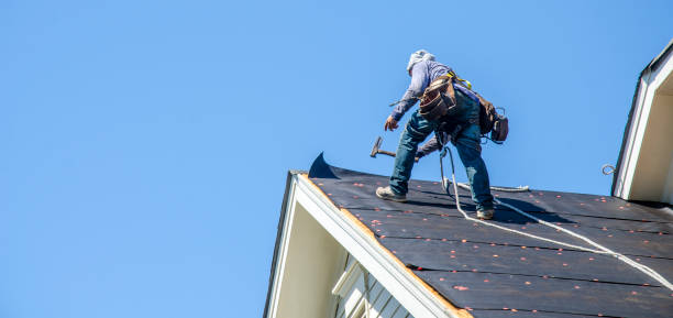 Best Local Roofing Companies  in Courtland, VA